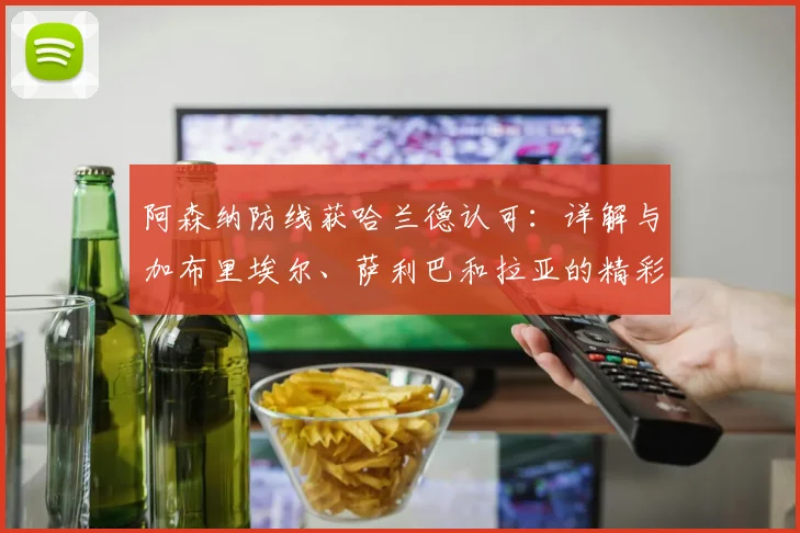 阿森纳防线获哈兰德认可：详解与加布里埃尔、萨利巴和拉亚的精彩对决