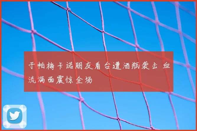 于帕梅卡诺朋友看台遭酒瓶袭击 血流满面震惊全场